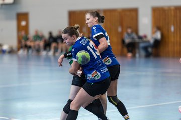 Bild 209 - F HSG Kremperheide/Muensterdorf - HSG Holstein Kiel/Kronshagen : Ergebnis: 31:26